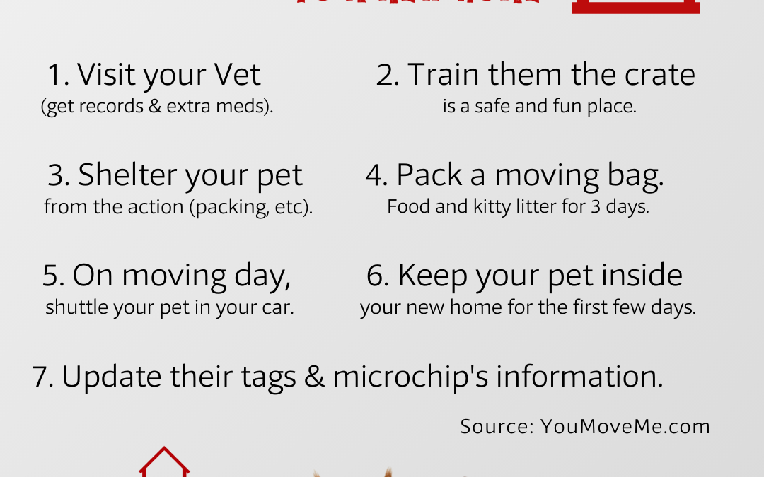 Moving Your Pets: To A New Home